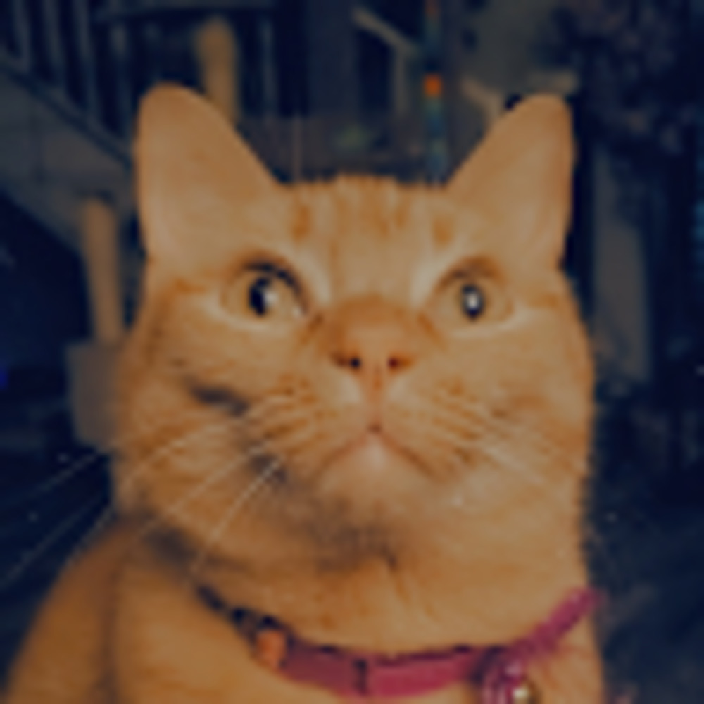 Meet your Posher, Liliana